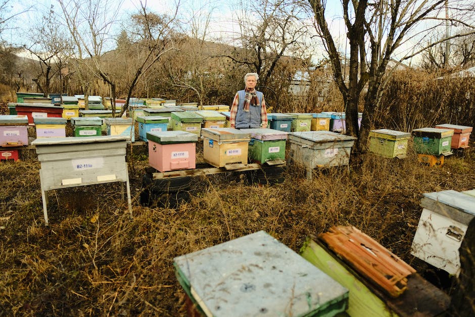 A beekeeper tending to beehives in a farm.