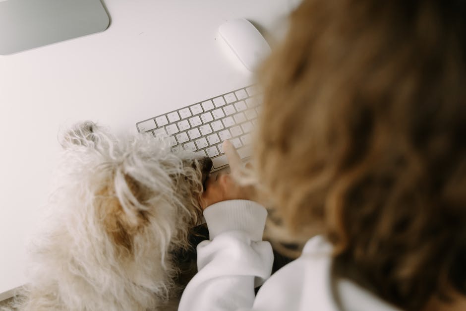Image of a person working from home with a dog by their side